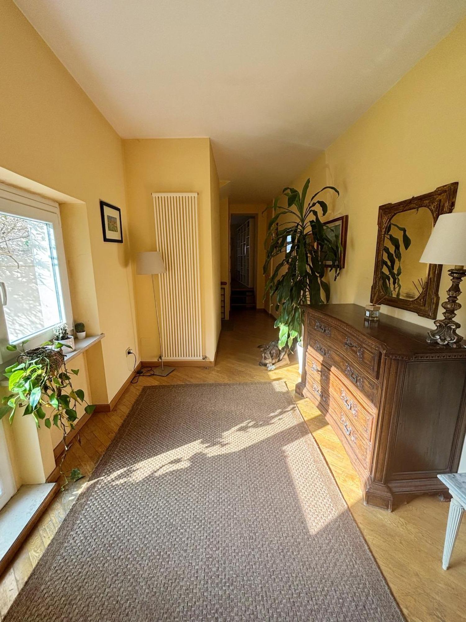Domus Mirabilis Homestay Ancona Bagian luar foto